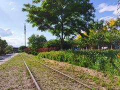 -永定河休闲森林公园