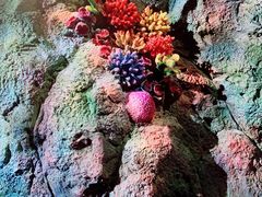 -上海儿童博物馆