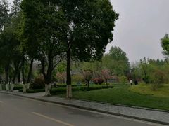 -西安交通大学(雁塔校区)