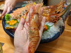 牡丹虾刺身-酒久自助料理(佳兆业店)
