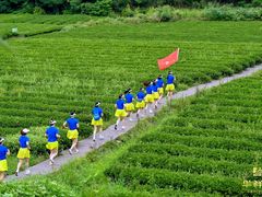 -华祥苑茶馆•国缤茶小蓝罐(普罗旺斯店)