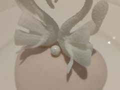 -BLACKSWAN黑天鹅(新希望店)