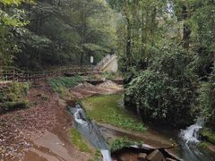 -碧峰峡风景区