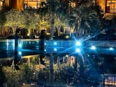 -上海闵行星河湾酒店