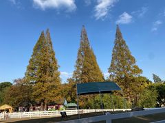 -白马涧龙池景区
