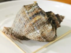 清蒸海螺-阿弟特色海鲜餐厅·大排档(平潭店)