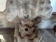 -莲池书院博物馆