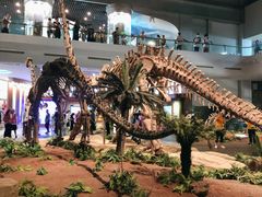 -自贡恐龙博物馆