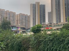 -矮冬瓜红茶火锅