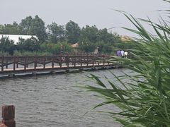 -西青郊野公园
