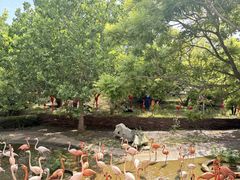 -大连森林动物园