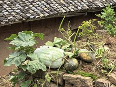 -仙海旅游度假区