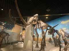 -国家自然博物馆