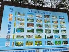 -黄龙溪欢乐田园