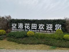 -空港花田景区