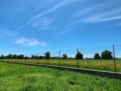 -TeaTimes(凤凰书城店)