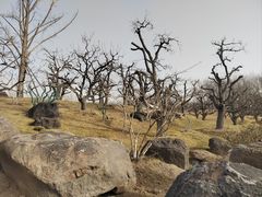 -罗红摄影艺术馆