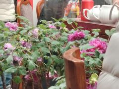 -漫渡庄绿岛花园•隐世庭园菜(滨湖店)