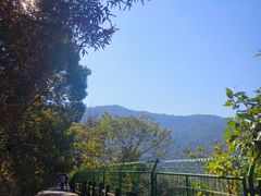 -树山生态村