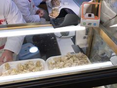 -熊大爷现包饺子(和平里店)
