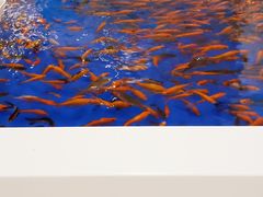 -万达广场(芜湖镜湖店)