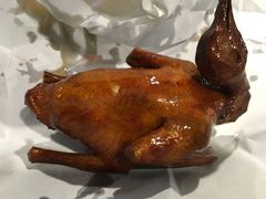 -南粤光明乳鸽(宝安中心店)