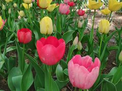 -长春公园(普阳街道)