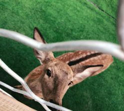 -萌宠亲子动物乐园(槐房万达店)