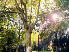 -苏州河梦清园环保主题公园