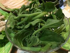 -一叶一世界•素食餐厅(环球中心店)