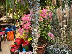 -双季花艺园艺市场(浦东店)