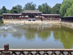 -尚庄度假村·庭台树下·户外烧烤·团建CS·轰趴营地(上庄水库店)