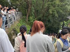 -灵顺寺