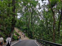 -岳麓山风景名胜区