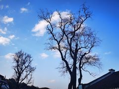 -丹山赤水风景名胜区
