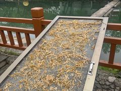 -鹿亭中村