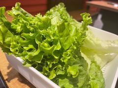 -新石器烤肉(南站店)