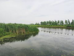 -春花秋色城市公园