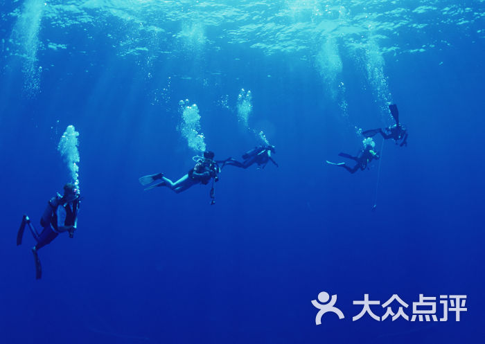 大东海珊瑚堡礁精品潜水(亲亲海一日游)-下海图片-三亚生活服务-大众