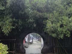 -关林