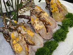 -喜聚薈·花膠雞海鮮火鍋(越秀店)