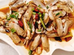 蛏子-华盛丰温州大排档(东三环南路店)