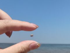 -天津东疆湾沙滩景区