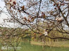 -昆山城市生态森林公园