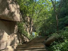 -大岭沟猕猴桃谷风景区