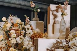 -明典婚礼策划·婚车租赁·婚纱摄影