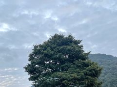 -广州市石门国家森林公园