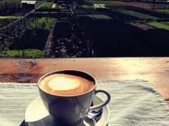 -翠田Green Field Kitchen
