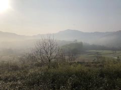 -塔川景区