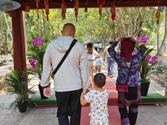 -西双版纳傣族园